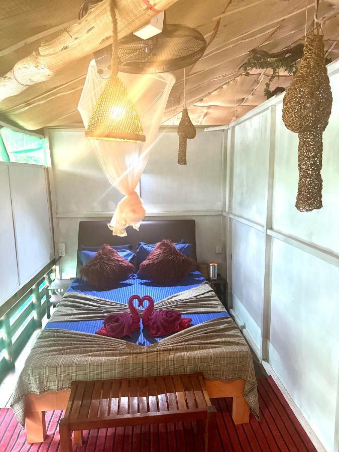 A Lounge Hostel And Cafe إيلا المظهر الخارجي الصورة
