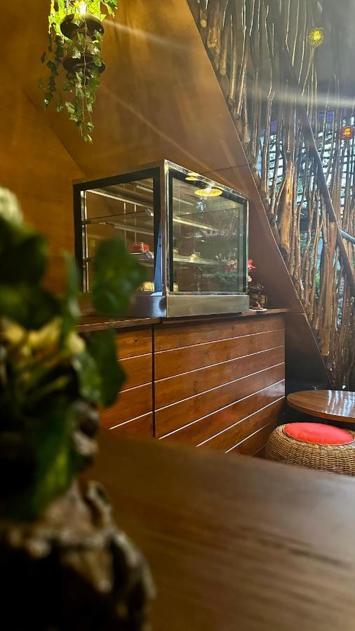 A Lounge Hostel And Cafe إيلا المظهر الخارجي الصورة