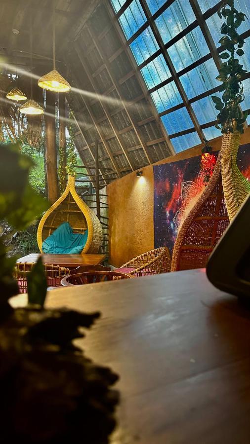 A Lounge Hostel And Cafe إيلا المظهر الخارجي الصورة