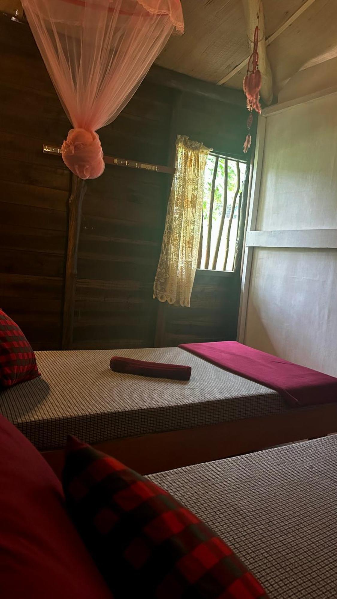 A Lounge Hostel And Cafe إيلا المظهر الخارجي الصورة